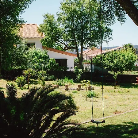 Nyaraló Clementina *