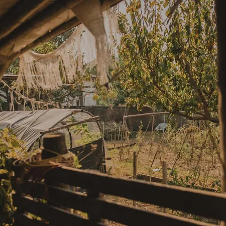 Clementina Дом отдыха *