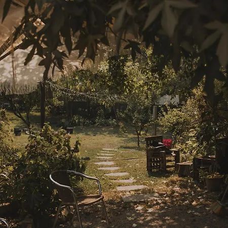 Clementina * Barcelos