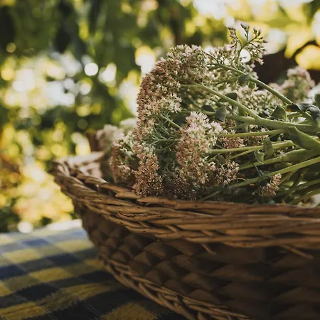 Clementina Σπίτι διακοπών Barcelos