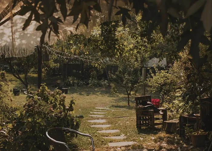 Clementina * 巴塞卢什