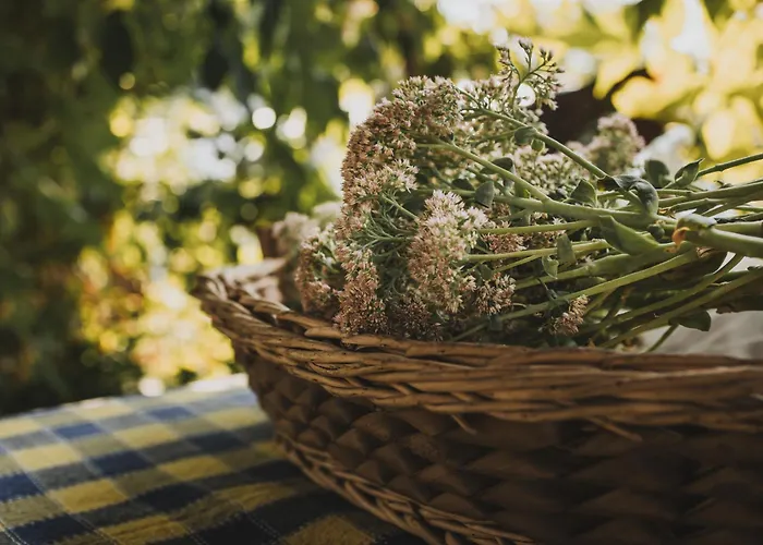 Clementina 度假居 巴塞卢什